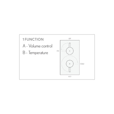 Belgravia 1000 Thermostatic Shower Trim with White and Metal Lever Handle, 1 Function