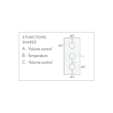 Heir 2000 Thermostatic Shower Trim with Diverter, 2 Shared Functions