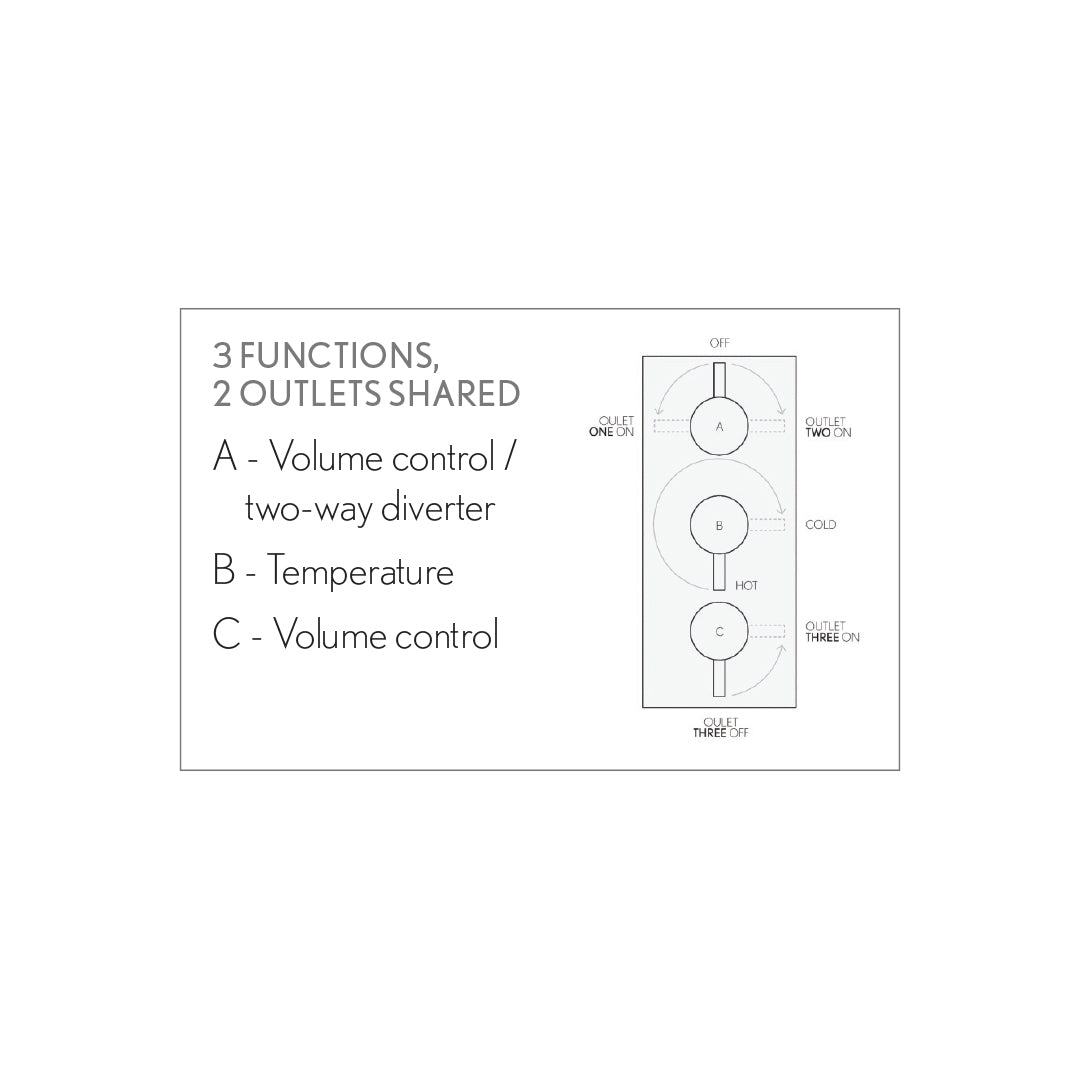 MPRO 3000 Thermostatic Shower Trim with Metal Lever Handles