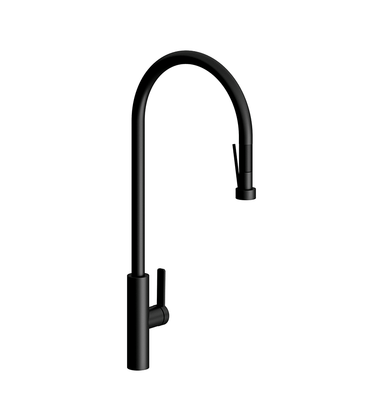 Professional single handle Kitchen Faucet with pull-out sprayer and flexible hose