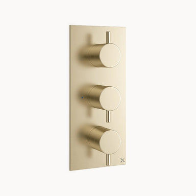 MPRO 2000 Thermostatic Shower Trim with Metal Lever Handles