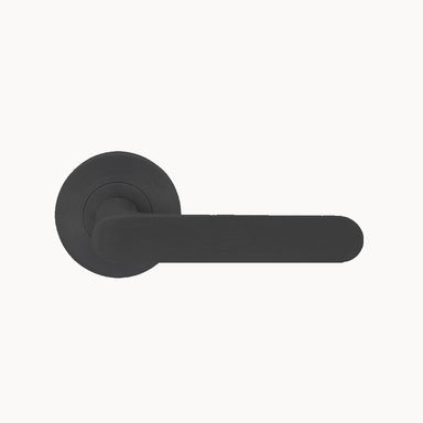 Gilda Lever Handles on Standard Rose