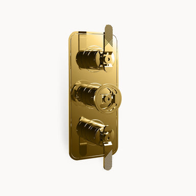 UNION 2000 Thermostatic Shower Trim, 2 Functions
