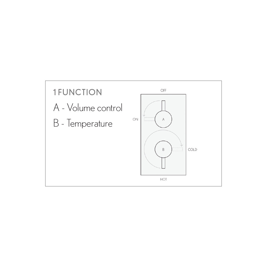 Wisp 1000 Thermostatic Shower Trim - 1 Function