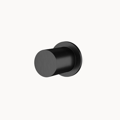 AC974 Stainless Steel Wall Outlet in Stainless Steel Matte Black PVD