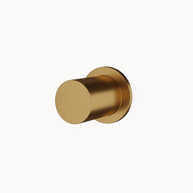 AC974 Stainless Steel Wall Outlet in Stainless Steel Matte Gold PVD