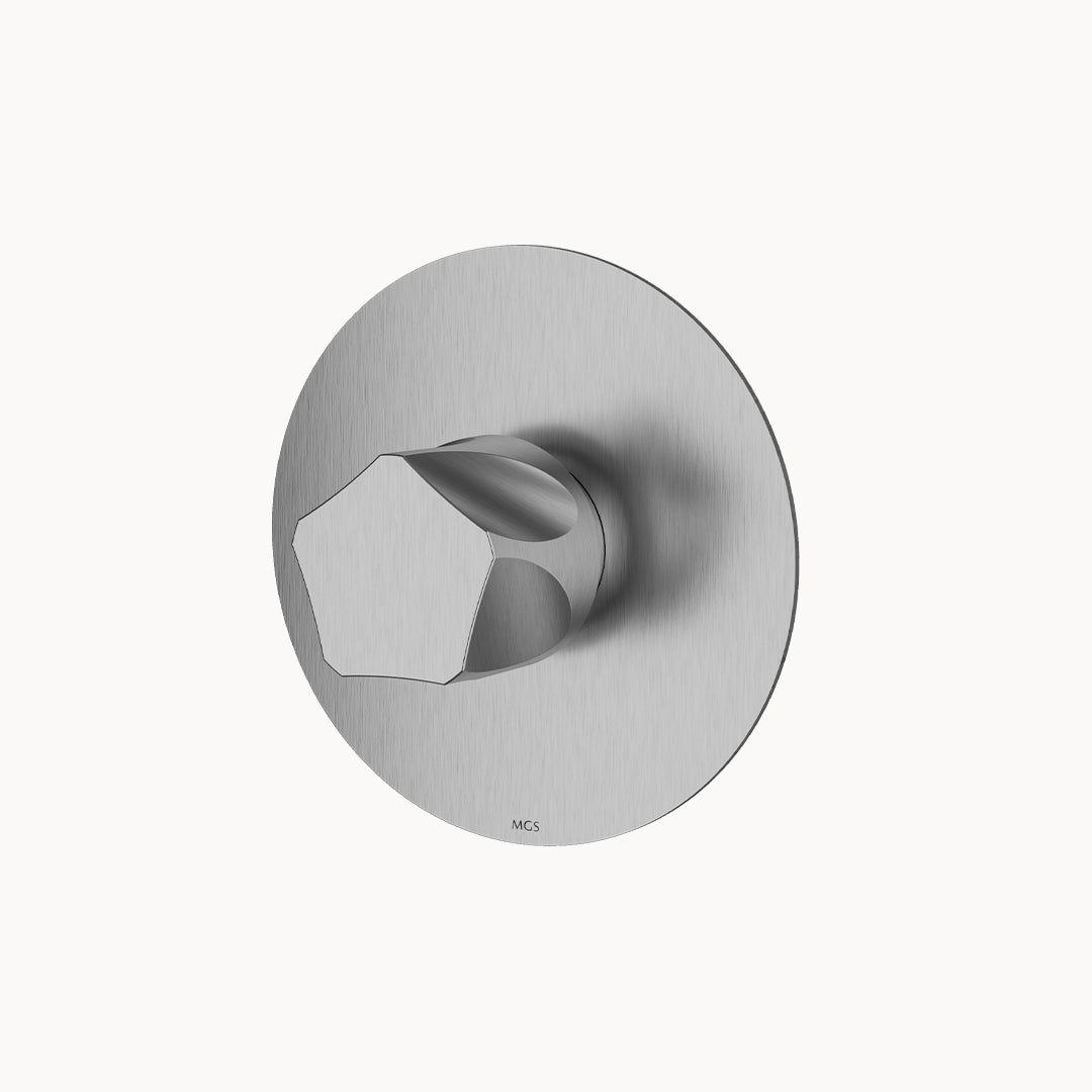 Penta PE444 Stainless Steel Thermostatic Trim, 1 Function – Forte Brands