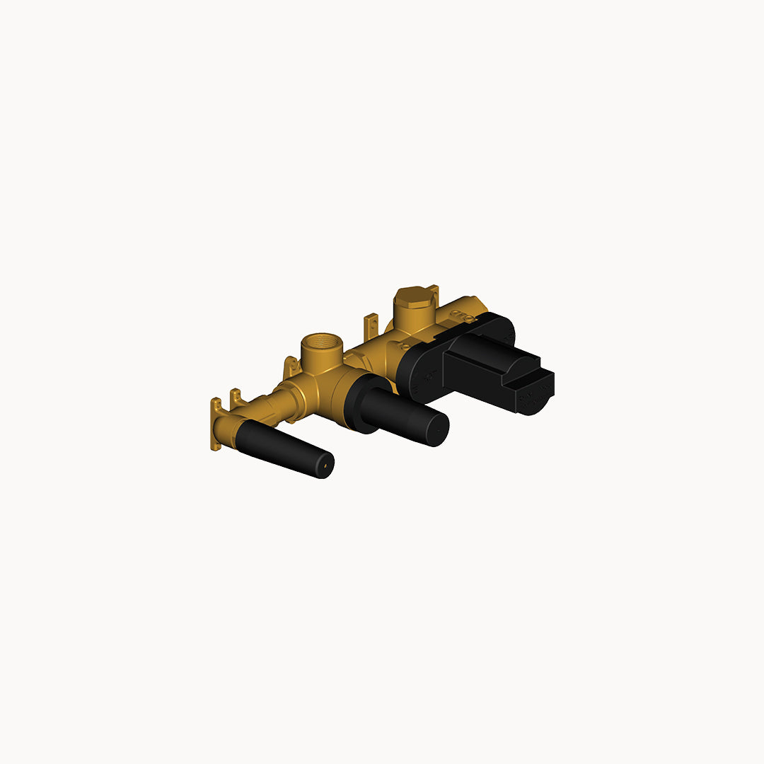 Rough for Thermostatic Set with 2 way Volume Control