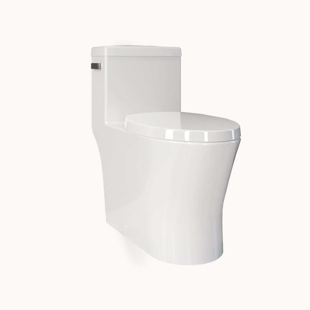 MPRO Elongated One Piece Single Flush Toilet – Forte Brands
